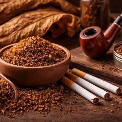 تاریخچه کشت و فرآوری توتون + معرفی انواع بذر و ساخت سیگار دستی