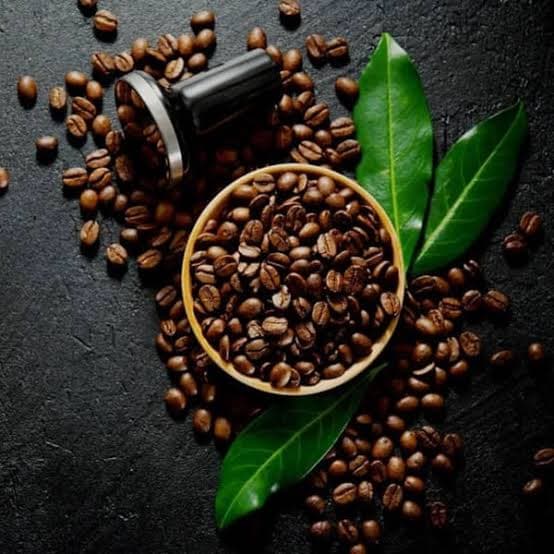 راهنمای انتخاب دانه قهوه مناسب برای هر سلیقه