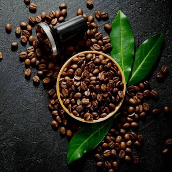 راهنمای انتخاب دانه قهوه مناسب برای هر سلیقه